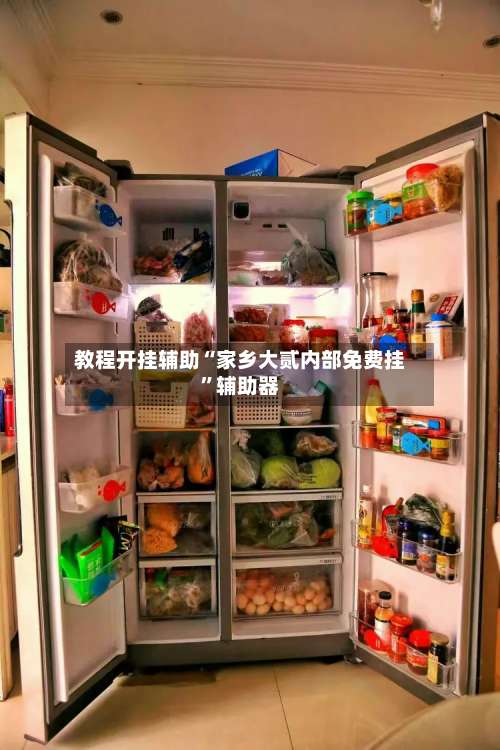 教程开挂辅助“家乡大贰内部免费挂	”辅助器-第2张图片