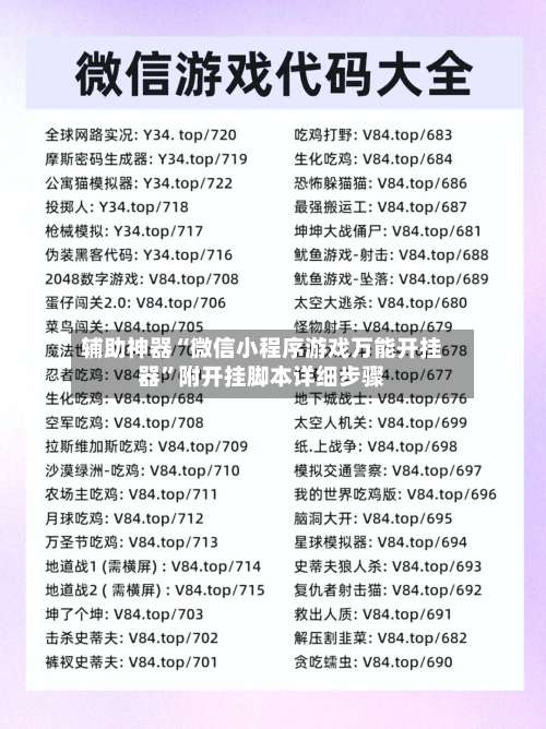 辅助神器“微信小程序游戏万能开挂器”附开挂脚本详细步骤-第3张图片