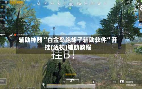辅助神器“白金岛跑胡子辅助软件		”开挂(透视)辅助教程-第1张图片