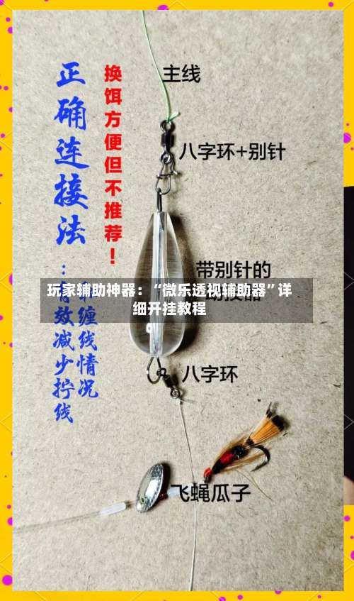 玩家辅助神器：“微乐透视辅助器	”详细开挂教程-第1张图片
