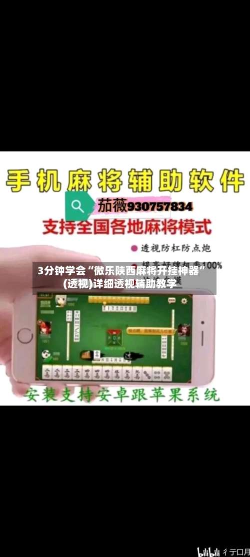 3分钟学会“微乐陕西麻将开挂神器”(透视)详细透视辅助教学-第2张图片