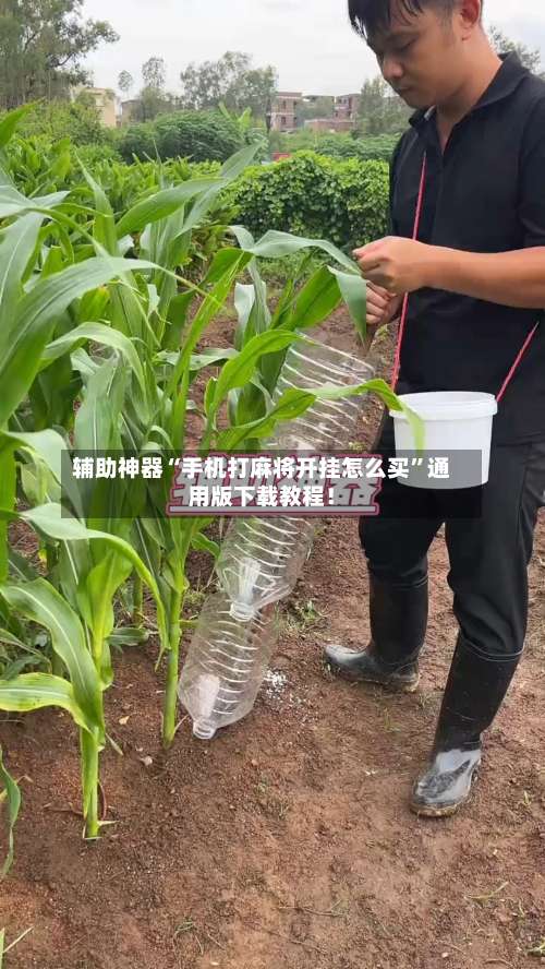 辅助神器“手机打麻将开挂怎么买”通用版下载教程！-第1张图片