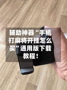 辅助神器“手机打麻将开挂怎么买	”通用版下载教程！-第2张图片
