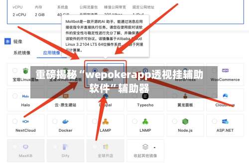 重磅揭秘“wepokerapp透视挂辅助软件”辅助器-第1张图片