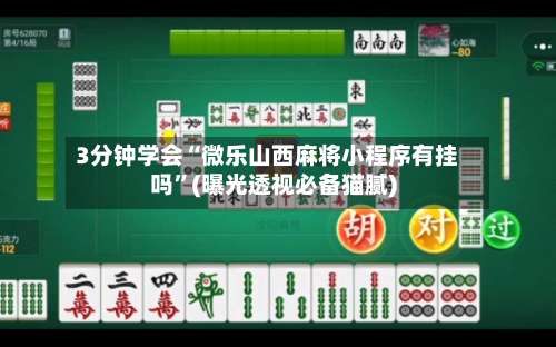 3分钟学会“微乐山西麻将小程序有挂吗”(曝光透视必备猫腻)-第2张图片