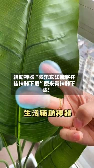 辅助神器“微乐龙江麻将开挂神器下载	”原来有神器下载!-第2张图片