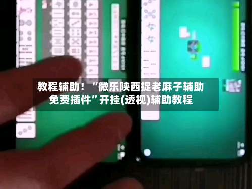 教程辅助！“微乐陕西捉老麻子辅助免费插件”开挂(透视)辅助教程-第1张图片