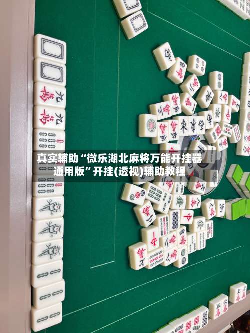 真实辅助“微乐湖北麻将万能开挂器通用版	”开挂(透视)辅助教程-第3张图片