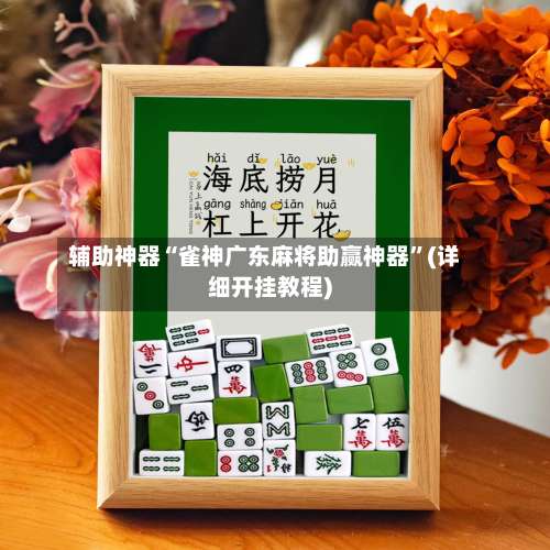 辅助神器“雀神广东麻将助赢神器	”(详细开挂教程)-第2张图片