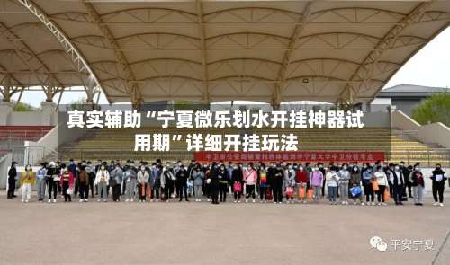 真实辅助“宁夏微乐划水开挂神器试用期		”详细开挂玩法-第1张图片