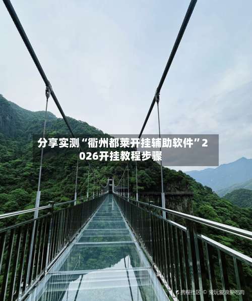 分享实测“衢州都莱开挂辅助软件”2026开挂教程步骤-第3张图片