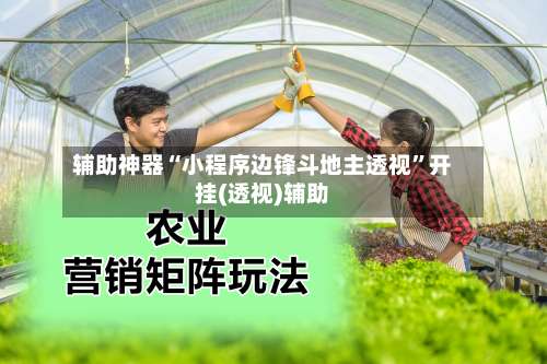 辅助神器“小程序边锋斗地主透视”开挂(透视)辅助-第1张图片
