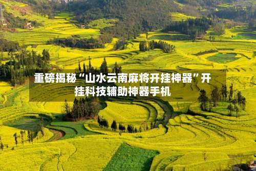 重磅揭秘“山水云南麻将开挂神器	”开挂科技辅助神器手机-第2张图片