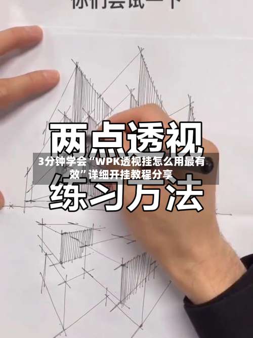 3分钟学会“WPK透视挂怎么用最有效”详细开挂教程分享-第3张图片