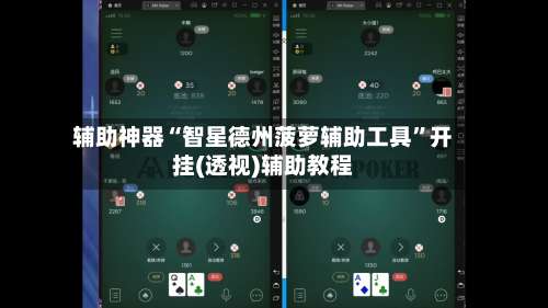 辅助神器“智星德州菠萝辅助工具	”开挂(透视)辅助教程-第1张图片
