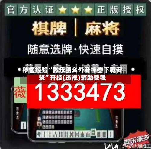 秒懂经验“微乐刨幺外卦神器下载安装	”开挂(透视)辅助教程-第1张图片