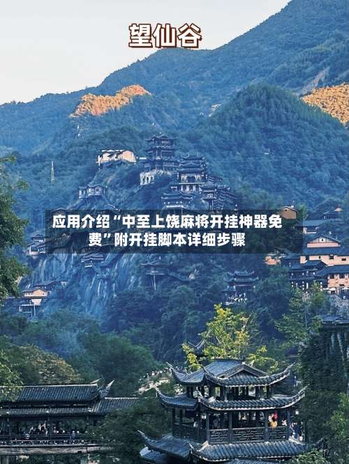应用介绍“中至上饶麻将开挂神器免费”附开挂脚本详细步骤-第3张图片