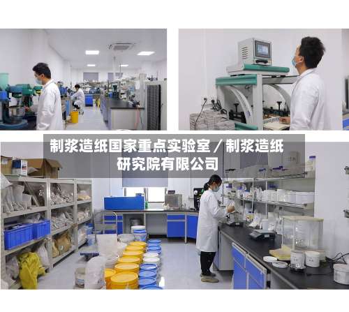 制浆造纸国家重点实验室/制浆造纸研究院有限公司-第1张图片