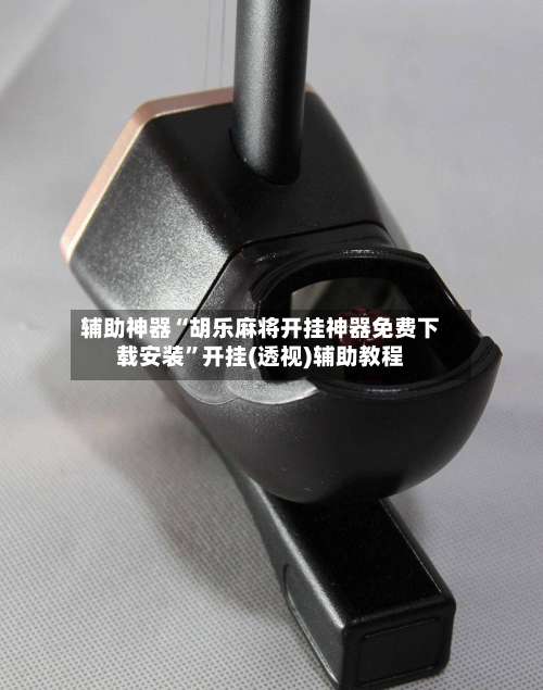 辅助神器“胡乐麻将开挂神器免费下载安装	”开挂(透视)辅助教程-第2张图片