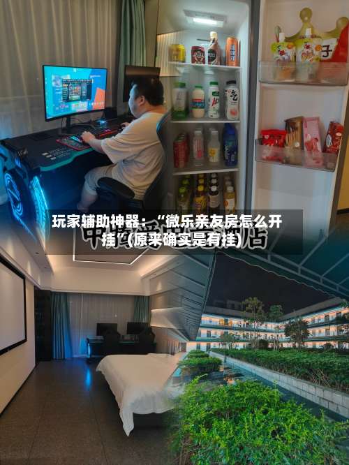 玩家辅助神器：“微乐亲友房怎么开挂		”(原来确实是有挂)-第1张图片