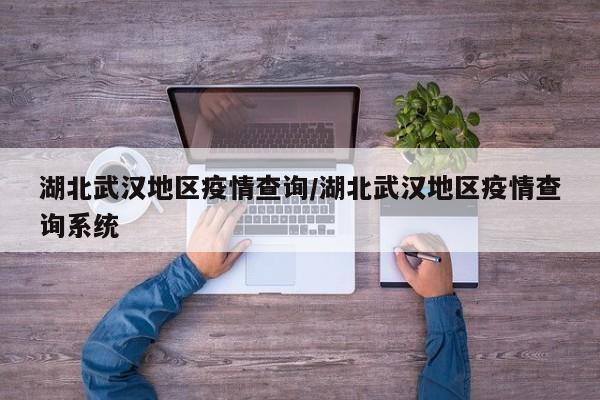 湖北武汉地区疫情查询/湖北武汉地区疫情查询系统