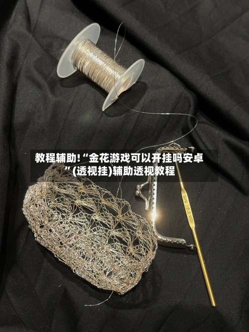 教程辅助!“金花游戏可以开挂吗安卓		”(透视挂)辅助透视教程-第2张图片
