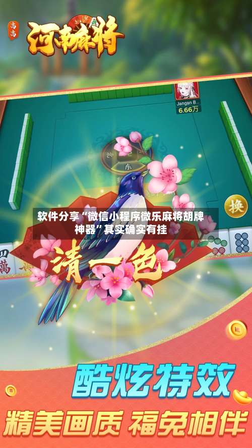 软件分享“微信小程序微乐麻将胡牌神器”其实确实有挂-第3张图片