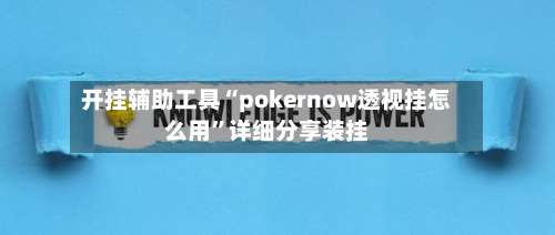 开挂辅助工具“pokernow透视挂怎么用”详细分享装挂-第1张图片