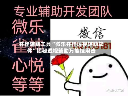 开挂辅助工具“微乐开挂透视辅助软件”揭秘透视辅助万能挂用法-第2张图片
