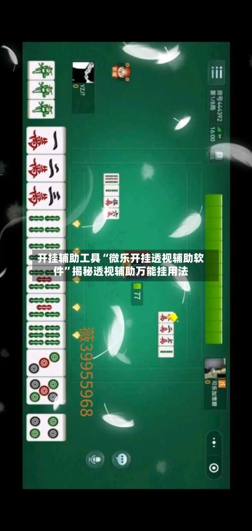 开挂辅助工具“微乐开挂透视辅助软件”揭秘透视辅助万能挂用法-第3张图片