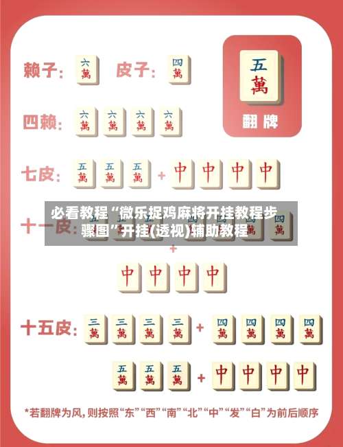 必看教程“微乐捉鸡麻将开挂教程步骤图”开挂(透视)辅助教程-第1张图片