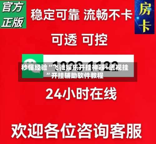 秒懂经验“飞驰娱乐开挂神器+透视挂”开挂辅助软件教程-第2张图片