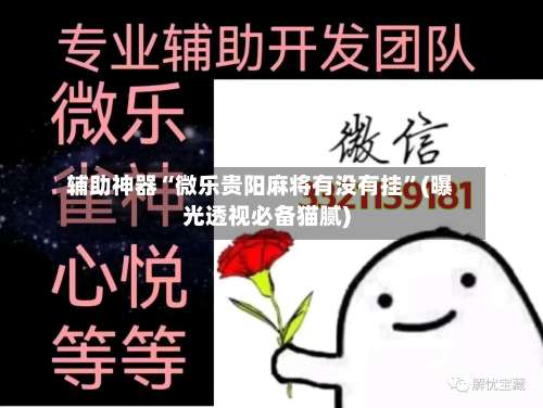 辅助神器“微乐贵阳麻将有没有挂	”(曝光透视必备猫腻)-第1张图片