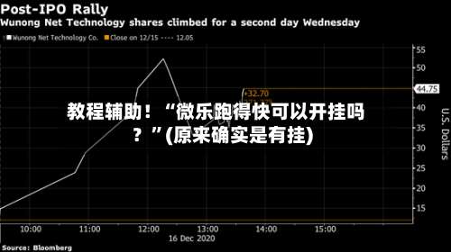 教程辅助！“微乐跑得快可以开挂吗？”(原来确实是有挂)-第2张图片