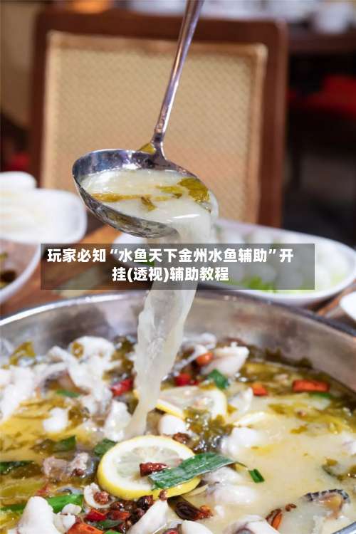 玩家必知“水鱼天下金州水鱼辅助		”开挂(透视)辅助教程-第1张图片