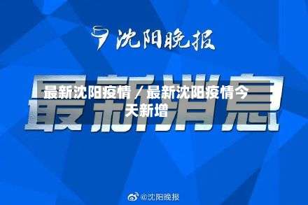最新沈阳疫情/最新沈阳疫情今天新增-第3张图片