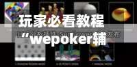 玩家必看教程“wepoker辅助透视作弊挂”通用版下载教程！-第2张图片