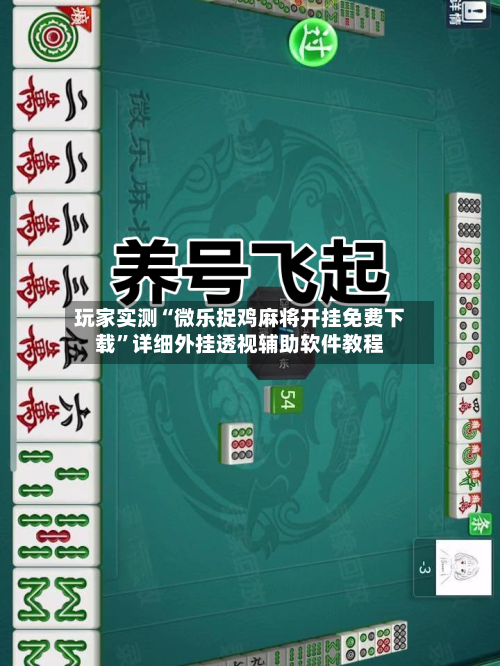 实测分析“手机微乐内蒙麻将开挂神器”教你开挂详细-第1张图片
