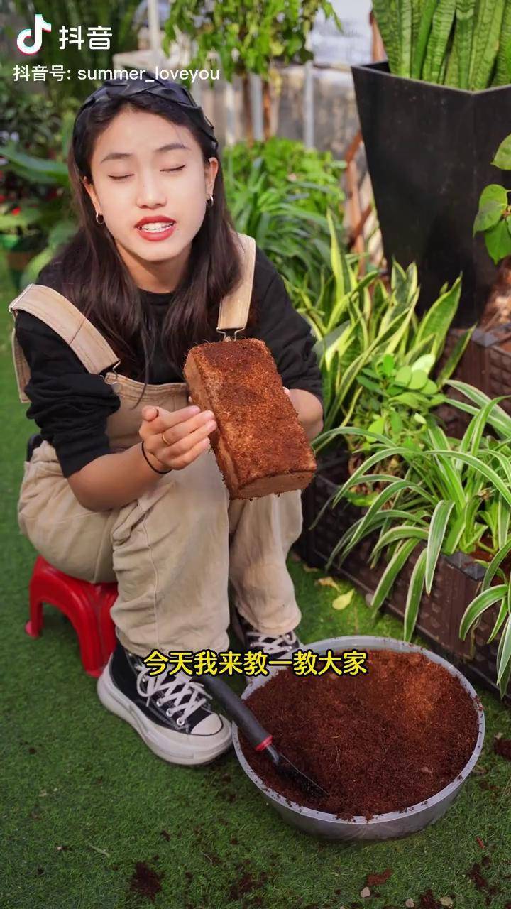 我来教教大家“wpk辅助工具下载”附开挂脚本详细步-第2张图片
