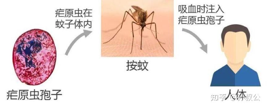 分享科普“wepoker好友房发牌规律”了解开挂过程-第1张图片