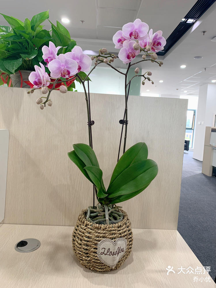 玩家点评“花花生活圈麻将挂	”分享装挂步骤-第3张图片