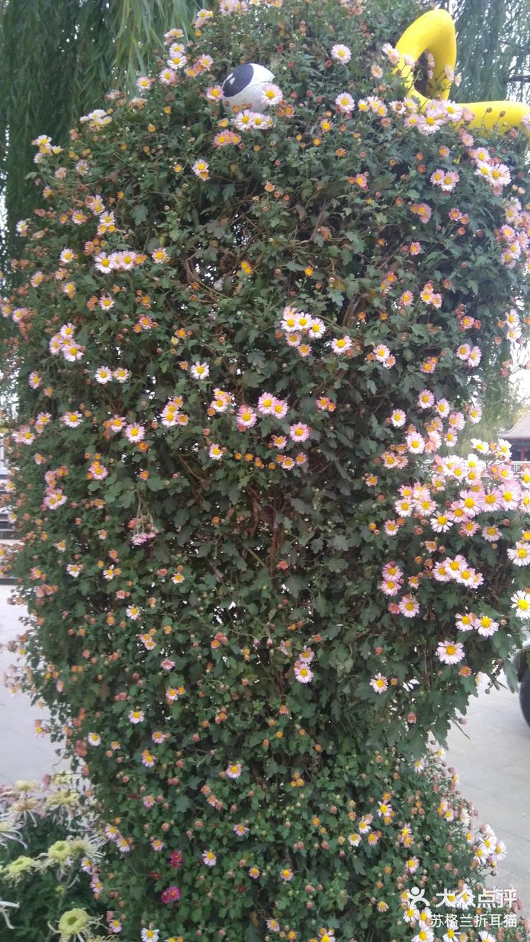 玩家点评“花花生活圈麻将挂”分享装挂步骤-第2张图片