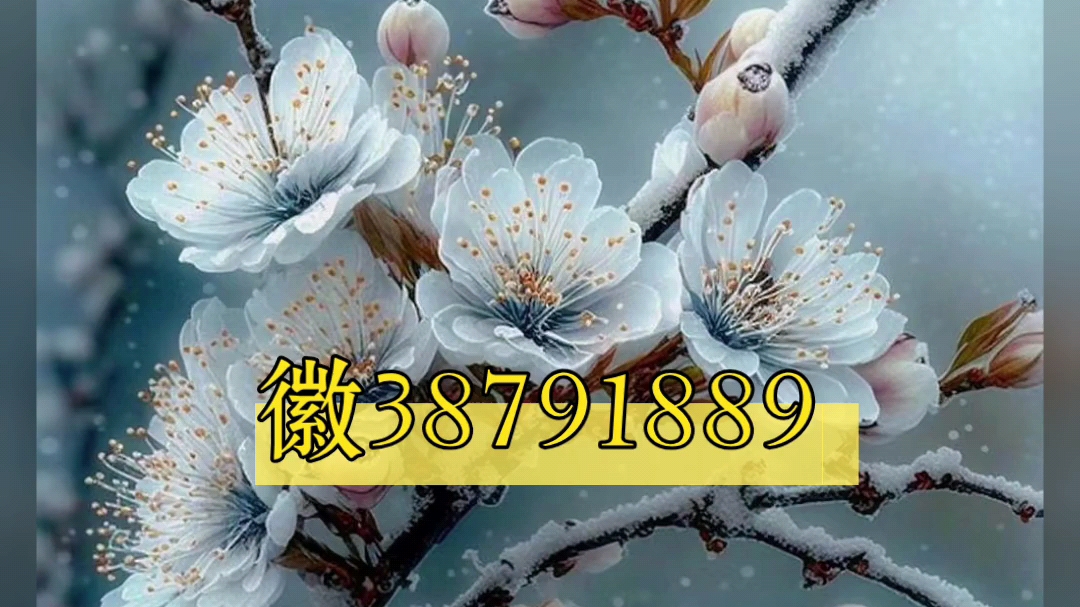 秒懂经验“德扑之星辅助器	”(透视)开挂辅助脚本+详细开挂安装教程-第2张图片