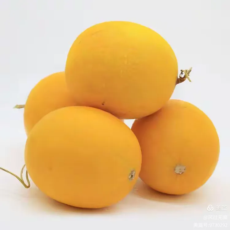 终于呈现“蜜瓜大厅有挂吗”分享装挂详-第1张图片