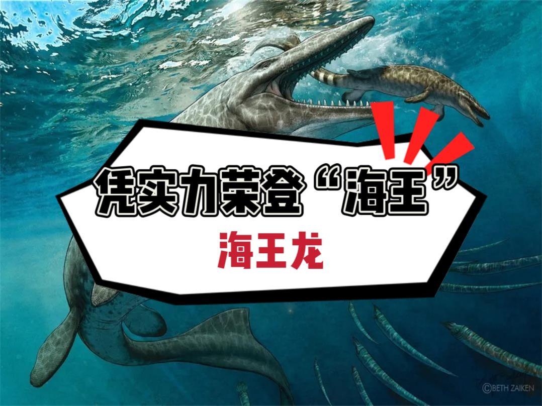 揭秘科普“新青鸟大厅万能开挂器	”分享用挂教程-第2张图片