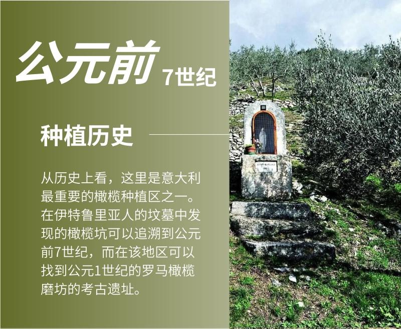 揭秘科普“新青鸟大厅万能开挂器”分享用挂教程-第1张图片
