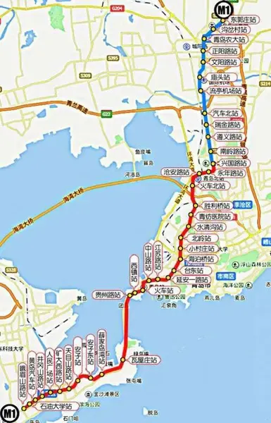 “青岛新增12例本土” 青岛新增1本土确诊？-第2张图片