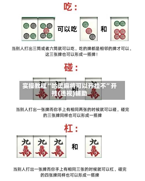 实操教程“哈灵麻将可以开挂不”开挂(透视)辅助-第1张图片