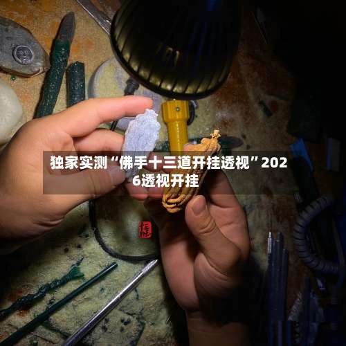 独家实测“佛手十三道开挂透视”2026透视开挂-第1张图片