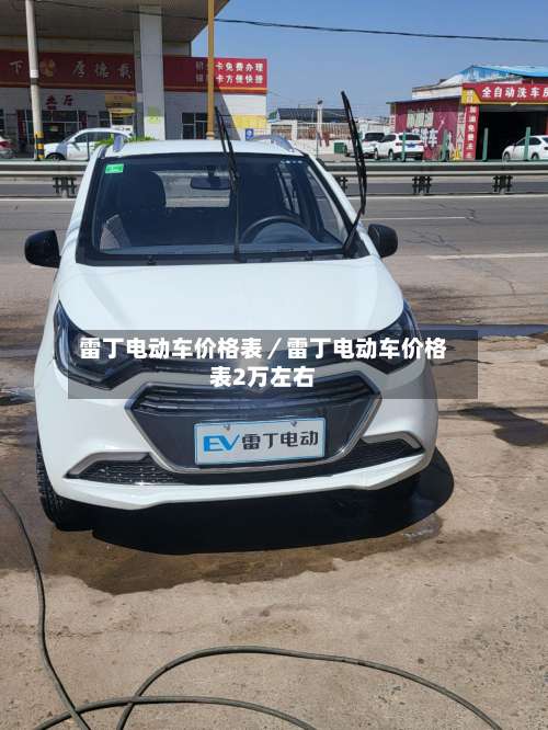 雷丁电动车价格表/雷丁电动车价格表2万左右-第1张图片